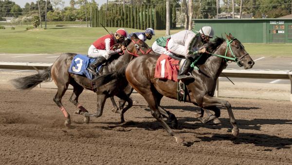 Pleasanton 2021  Live Horse Racing Track News  DRF